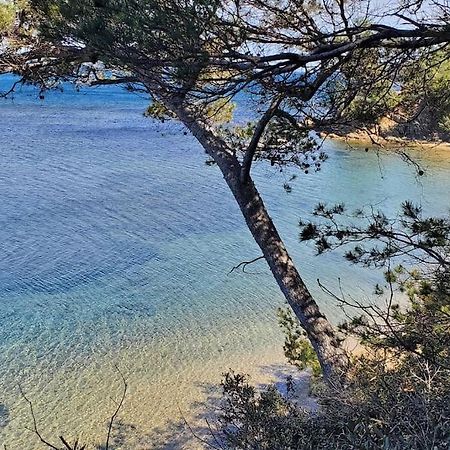 Appartement Dans Residence Avec Piscine La Londe-les-Maures Zewnętrze zdjęcie