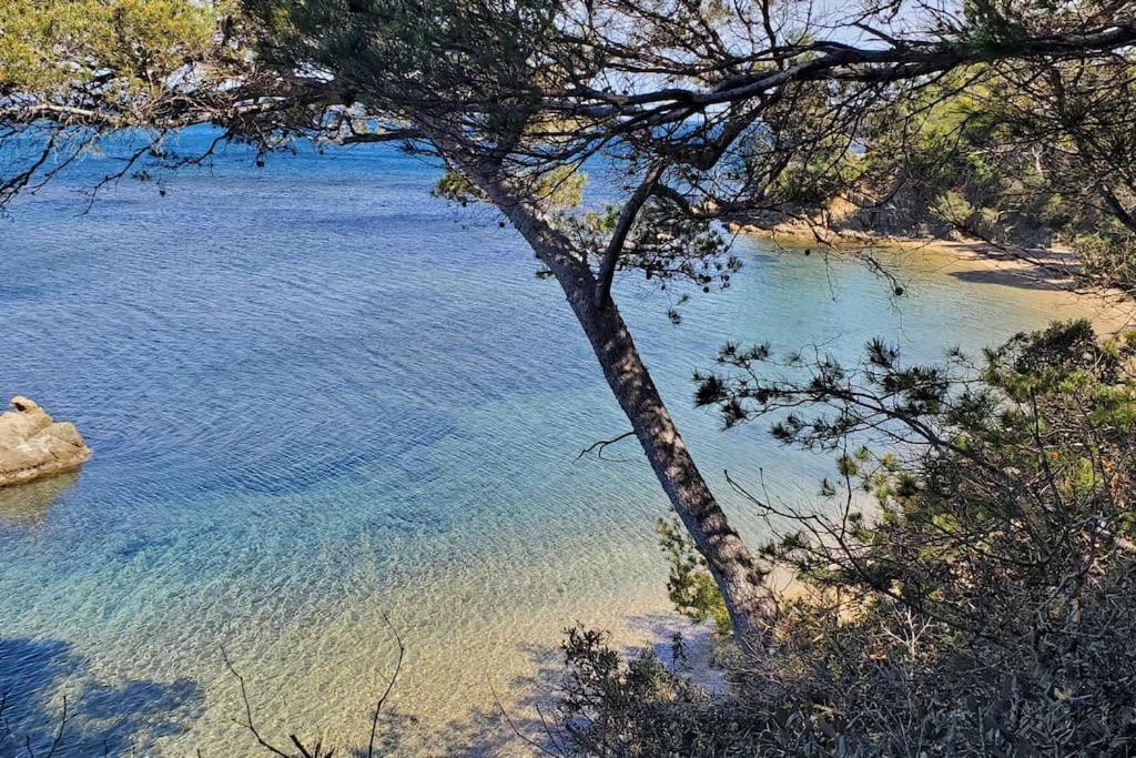 Appartement Dans Residence Avec Piscine La Londe-les-Maures Zewnętrze zdjęcie