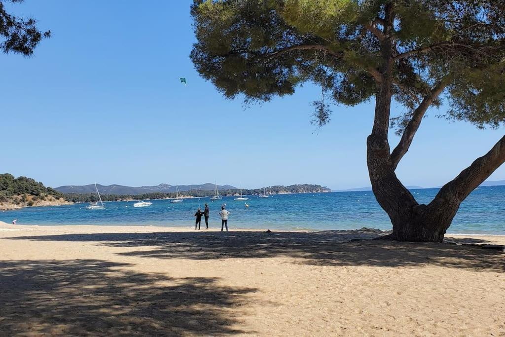 Appartement Dans Residence Avec Piscine La Londe-les-Maures Zewnętrze zdjęcie